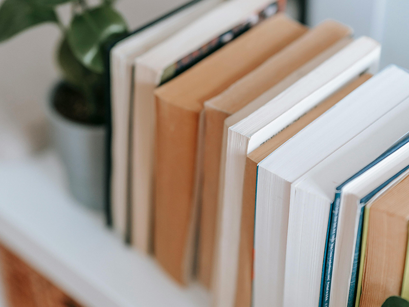 Intimate Partner Therapy